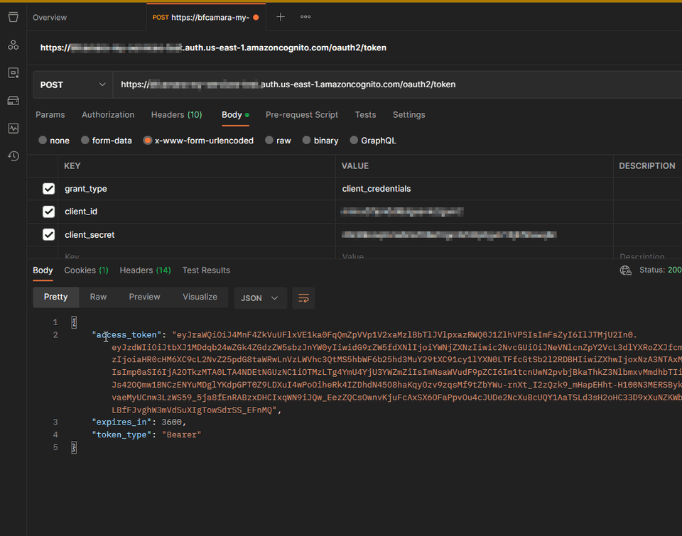 AWS Cognito Token Endpoint