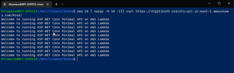 AWS Lambda - Launch concurrent requests